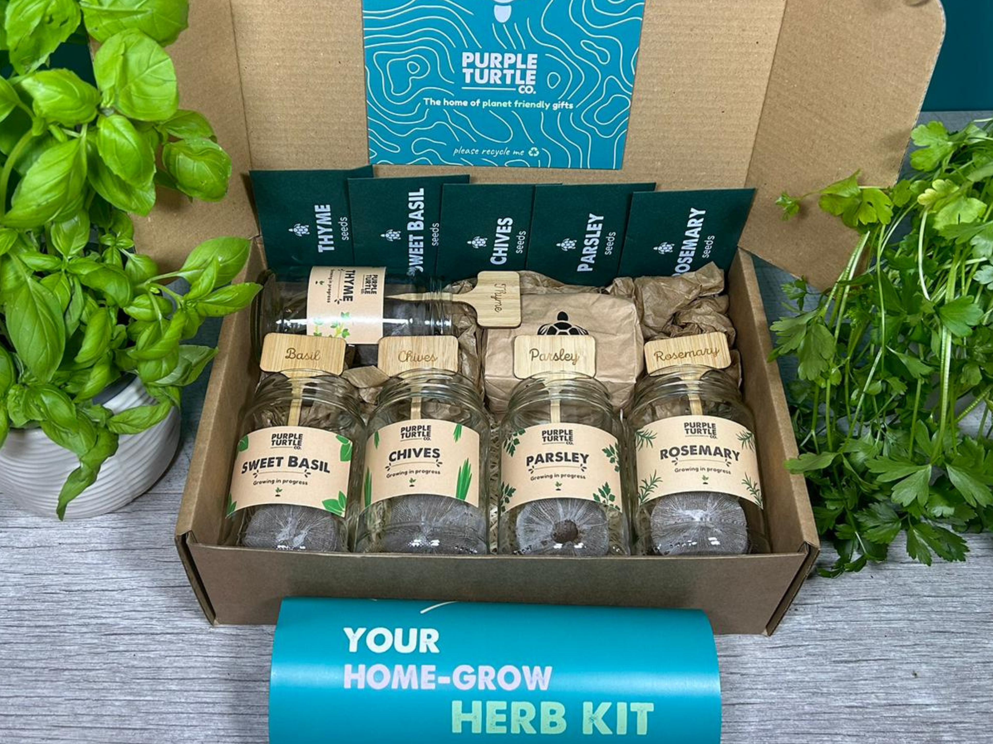 Grow Your Own Herbs Gift Set