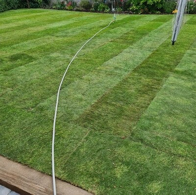 Budget Lawn Turf *Bulk Buy Saver* FREE Delivery