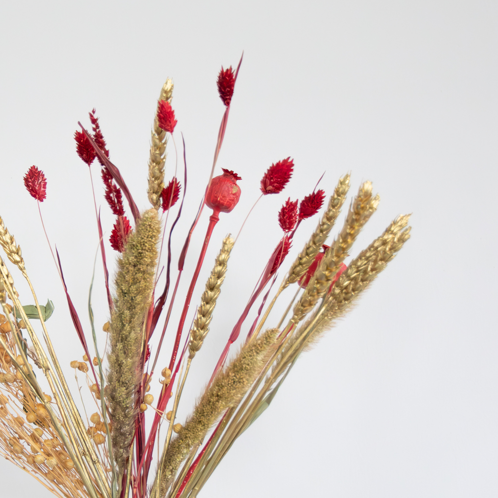Dried flowers - Bouquet 'Jingle Bells' - Dryflowers