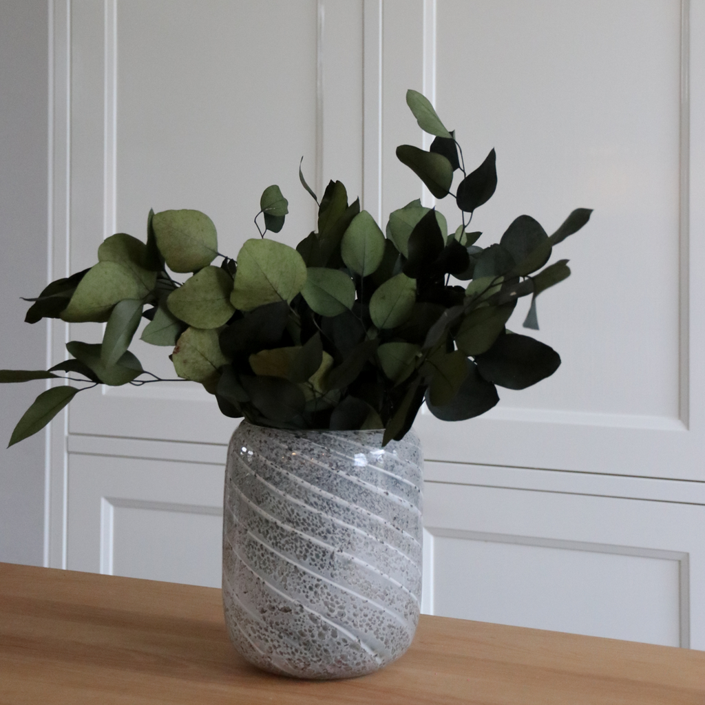 Gum bush - Eucalyptus stuartiana - Dryflowers