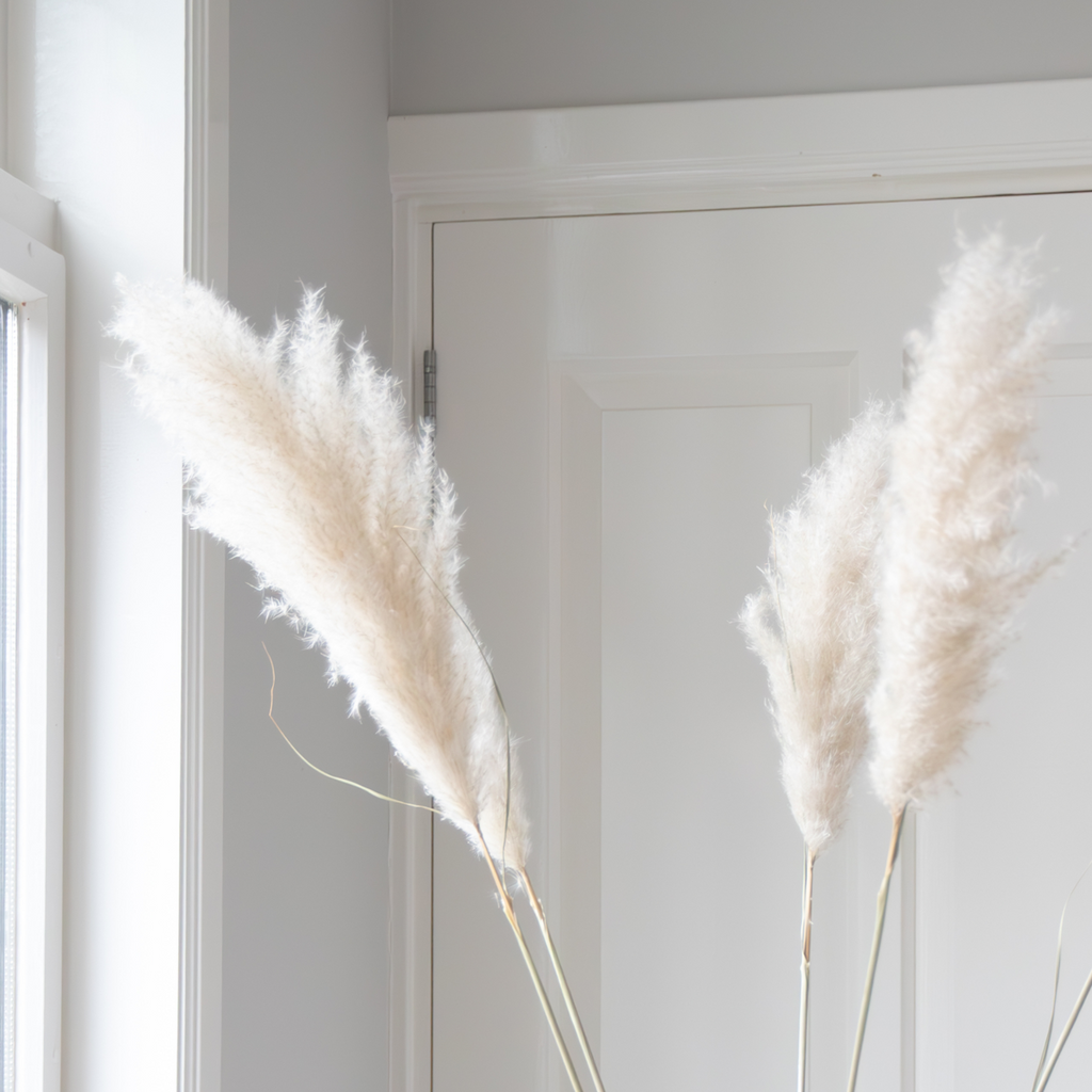 Dried flowers - 5 pcs. - Dryflower 'Cortaderia Plum' - Dryflowers