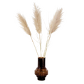Dried flowers - 5 pcs. - Dryflower 'Cortaderia Plum' - Dryflowers