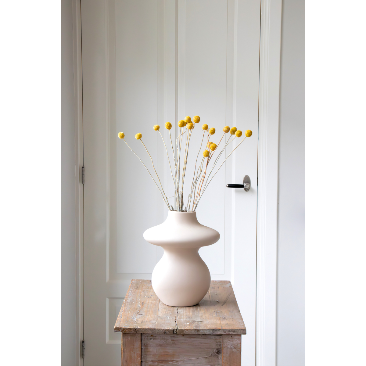 Dried flowers - Bouquet 'Craspedia natural yellow' - Dryflowers