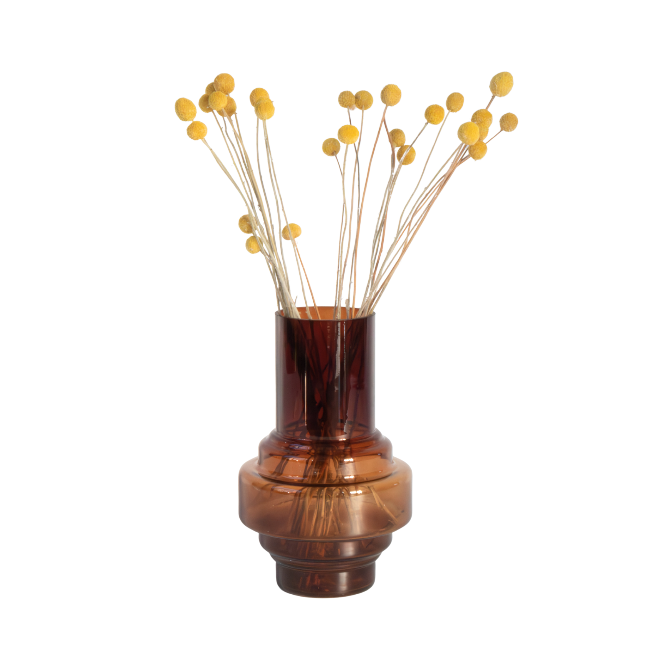 Dried flowers - Bouquet 'Craspedia natural yellow' - Dryflowers