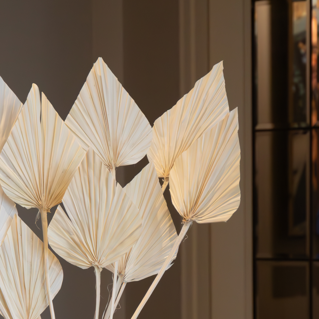 Dried flowers - 10 pcs. - Bouquet 'Palmspear Bleached White' - Dryflowers