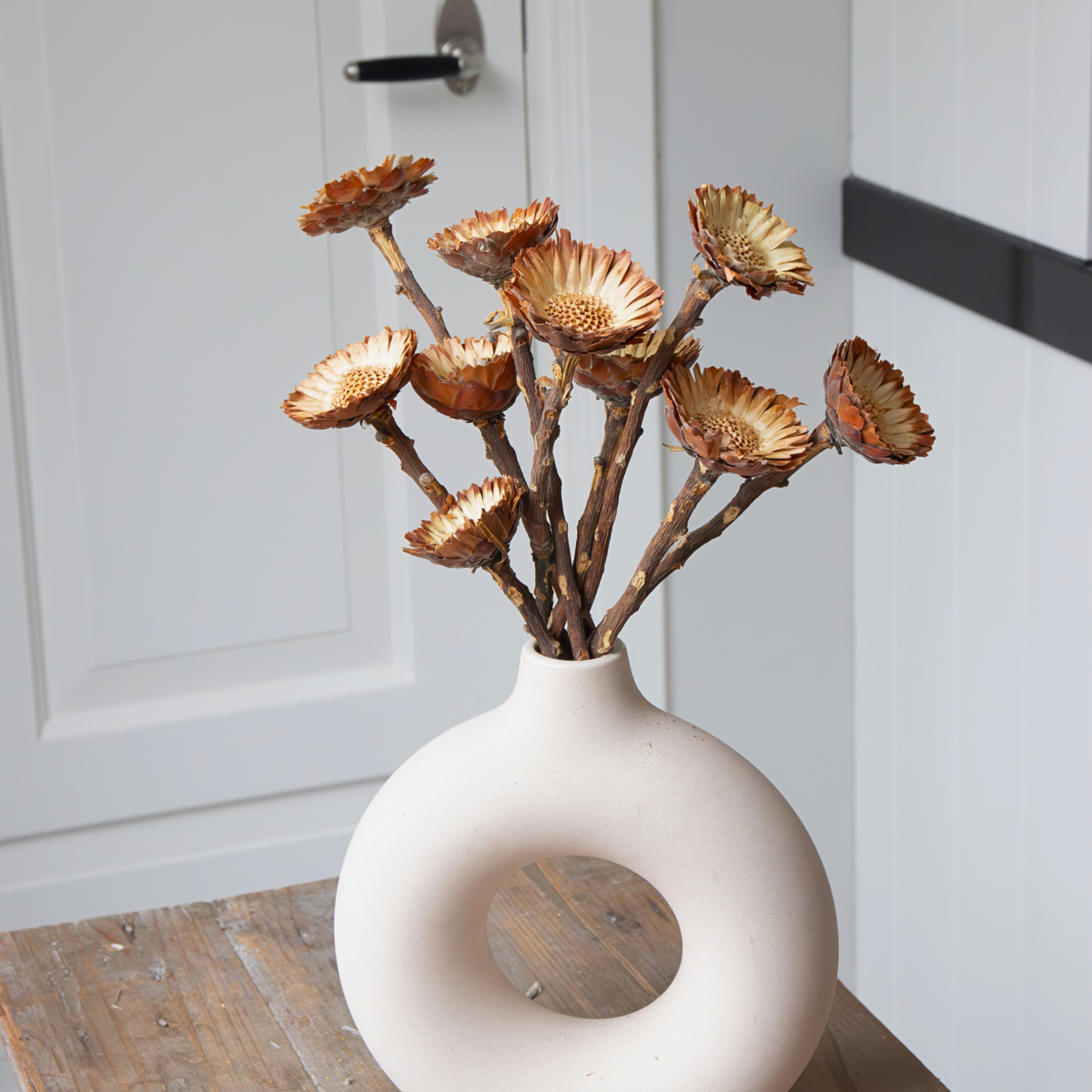 Dried flowers - 10 pcs. - Bouquet 'Protea Compacta' - Dryflowers