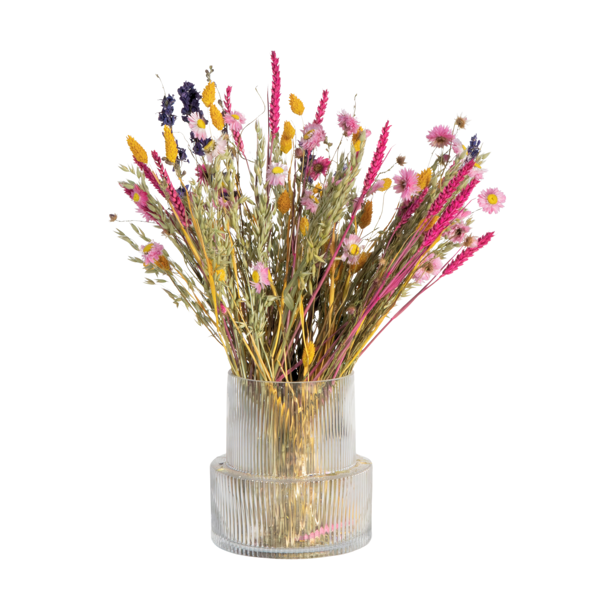 Dried flowers - Bouquet 'Trendy Vibrant' - Dryflowers