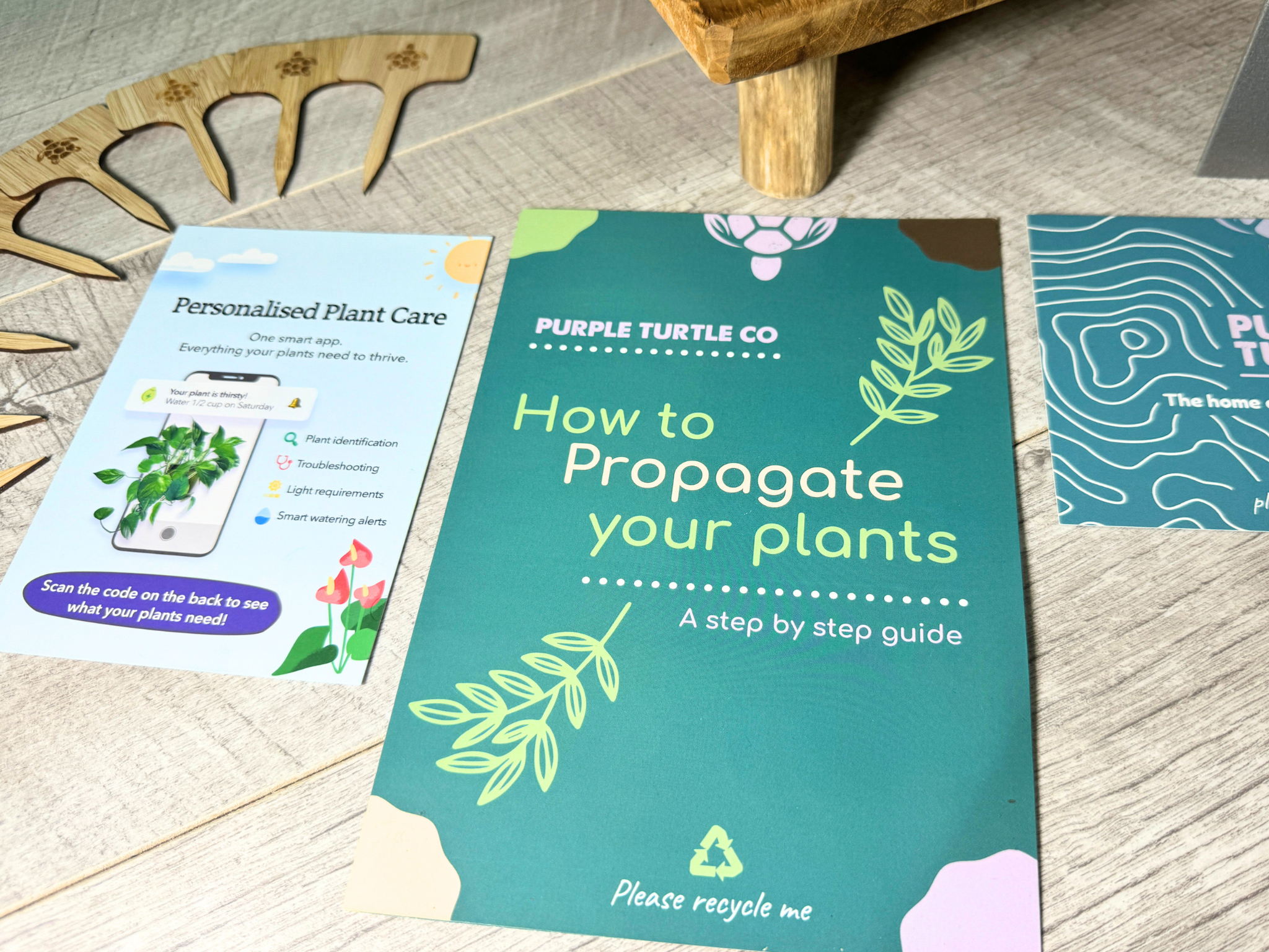 Plant Propagation Gift Set #4