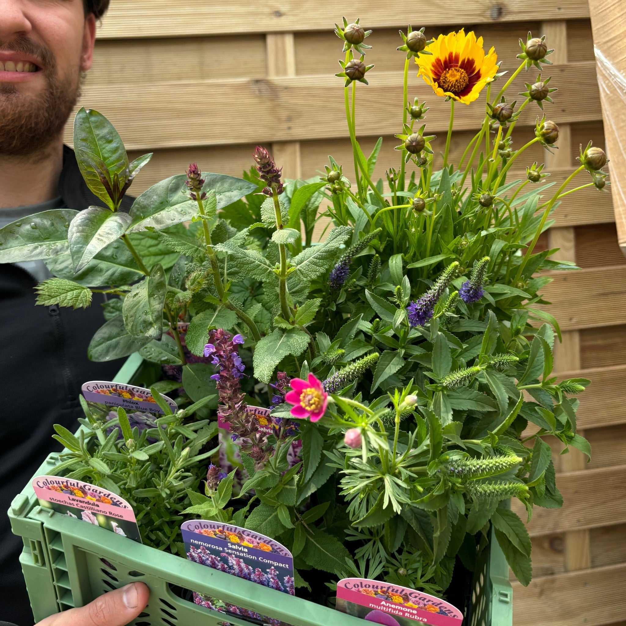 Mystery Box £45 Worth Of Plants (Checkout only offer)