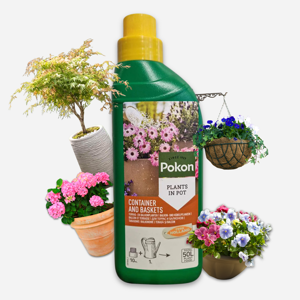 Pokon liquid fertiliser for terrace and balcony plants – 500 ml