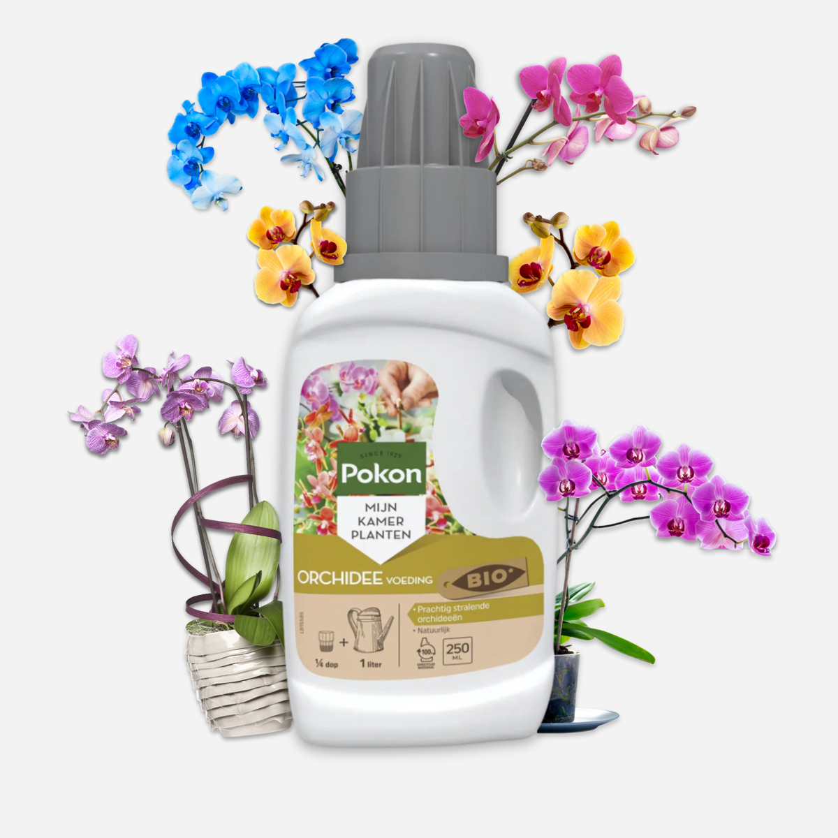 Pokon liquid plant food - Orchids - 250ml