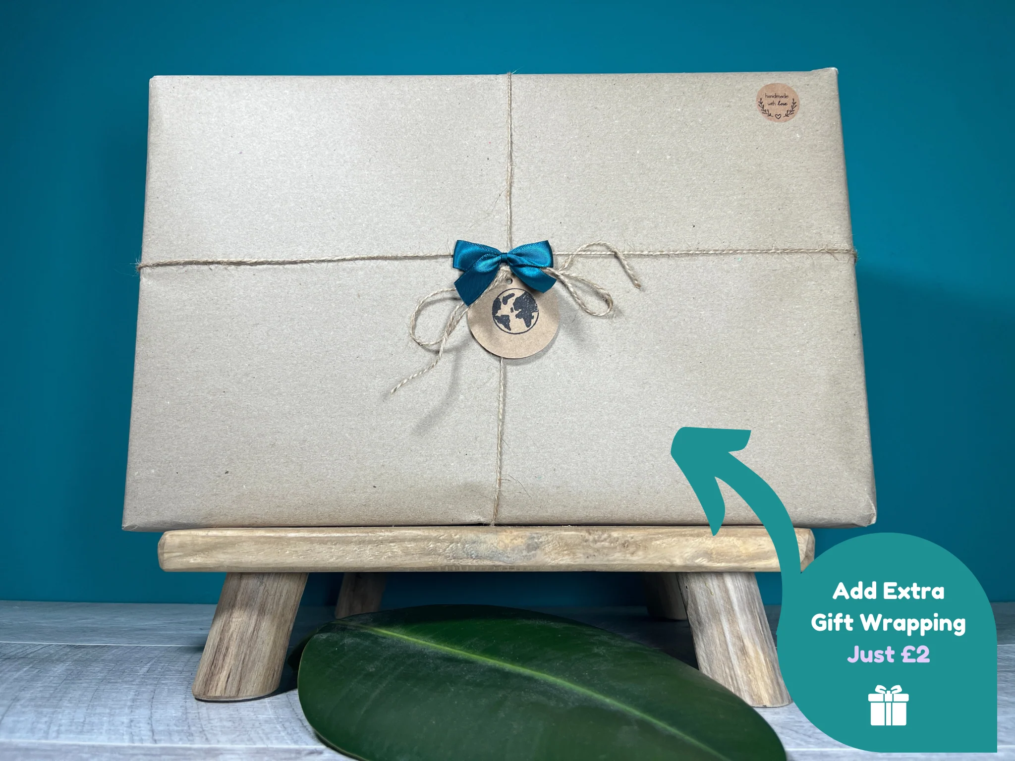 Plant Propagation Gift Set #4