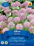 Allium senescens | Exotic Collection | 1 Bulb