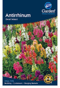 Antirrhinum Dwarf Mixed Seeds