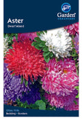 Aster Seeds