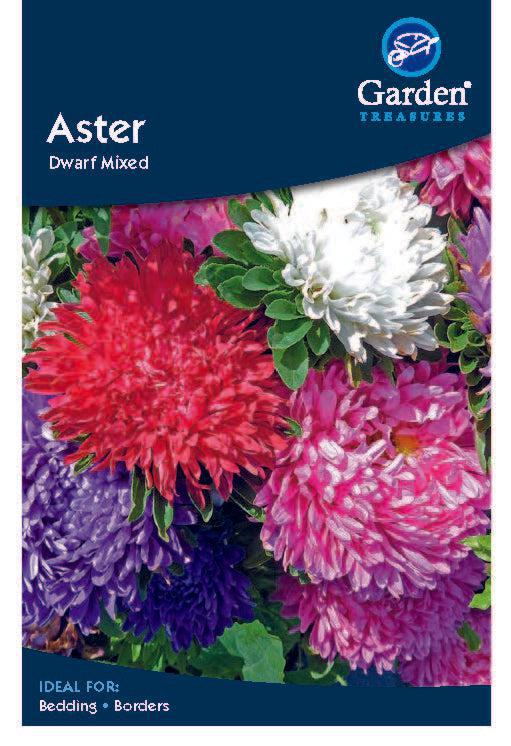 Aster Seeds