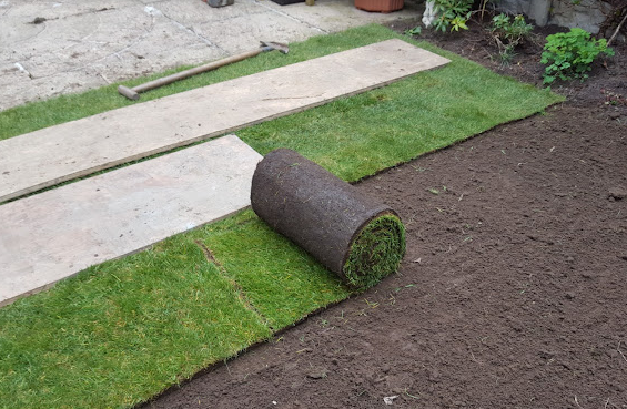 Budget Lawn Turf *Bulk Buy Saver* FREE Delivery