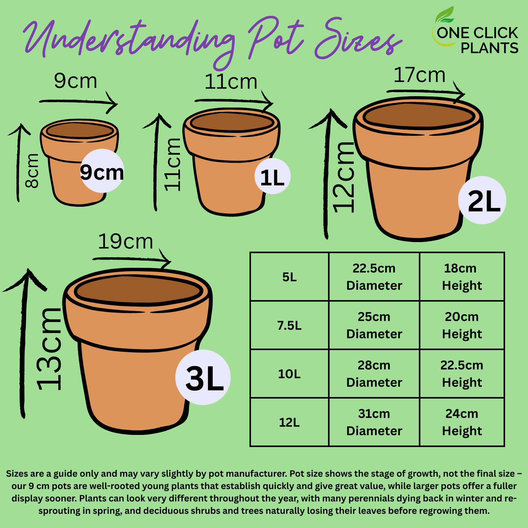 Cottage Garden Perennial Mix (3/6/10 Plants)