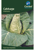 Cabbage Greyhound