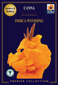 Canna Lily | Indica Wyoming | 1 Corm
