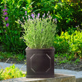 IDEALIST Lite Chelsea Flower Box Square Garden Planter, Faux Lead Light Stone Outdoor Plant Pot W22 H22 L22 cm, 11L