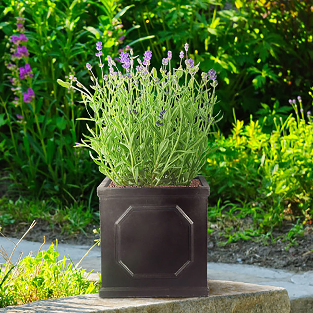 IDEALIST Lite Chelsea Flower Box Square Garden Planter, Faux Lead Light Stone Outdoor Plant Pot W22 H22 L22 cm, 11L