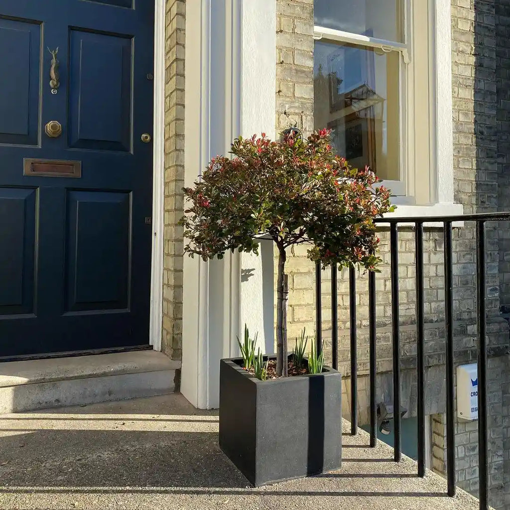 IDEALIST Lite Contemporary Flower Box Square Garden Planter, Light Concrete Outdoor Plant Pot H30 L30 W30 cm, 27L