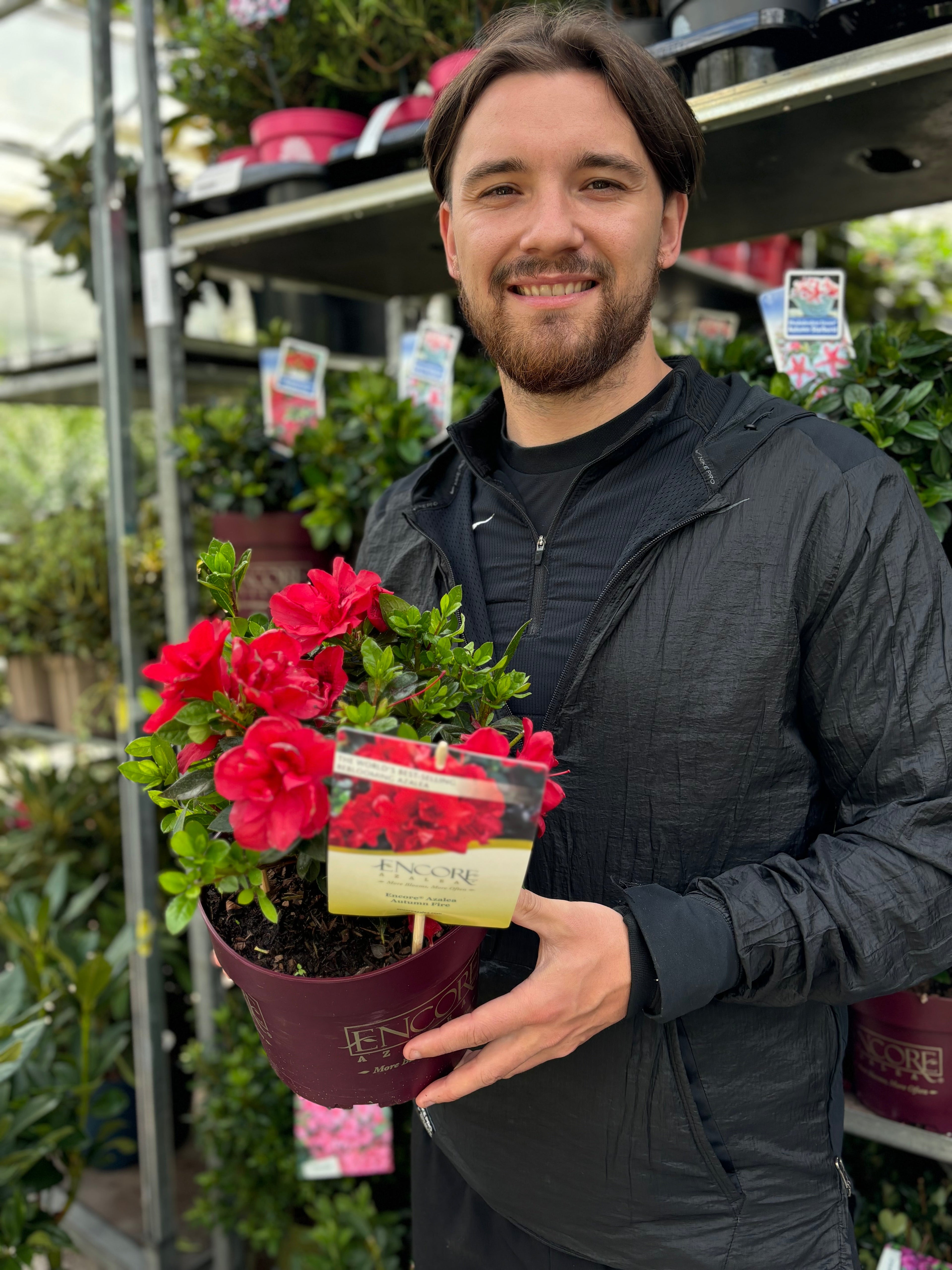 Azalea Encore 'Autumn Fire' 3L