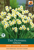 Dwarf Daffodil 'Minnow' (8/18  Bulbs)