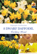 Dwarf Daffodil 'Rockery Mixed'(8 Bulbs)