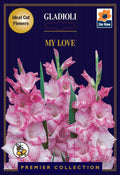 Gladioli Bulbs | My Love | 10 Bulbs