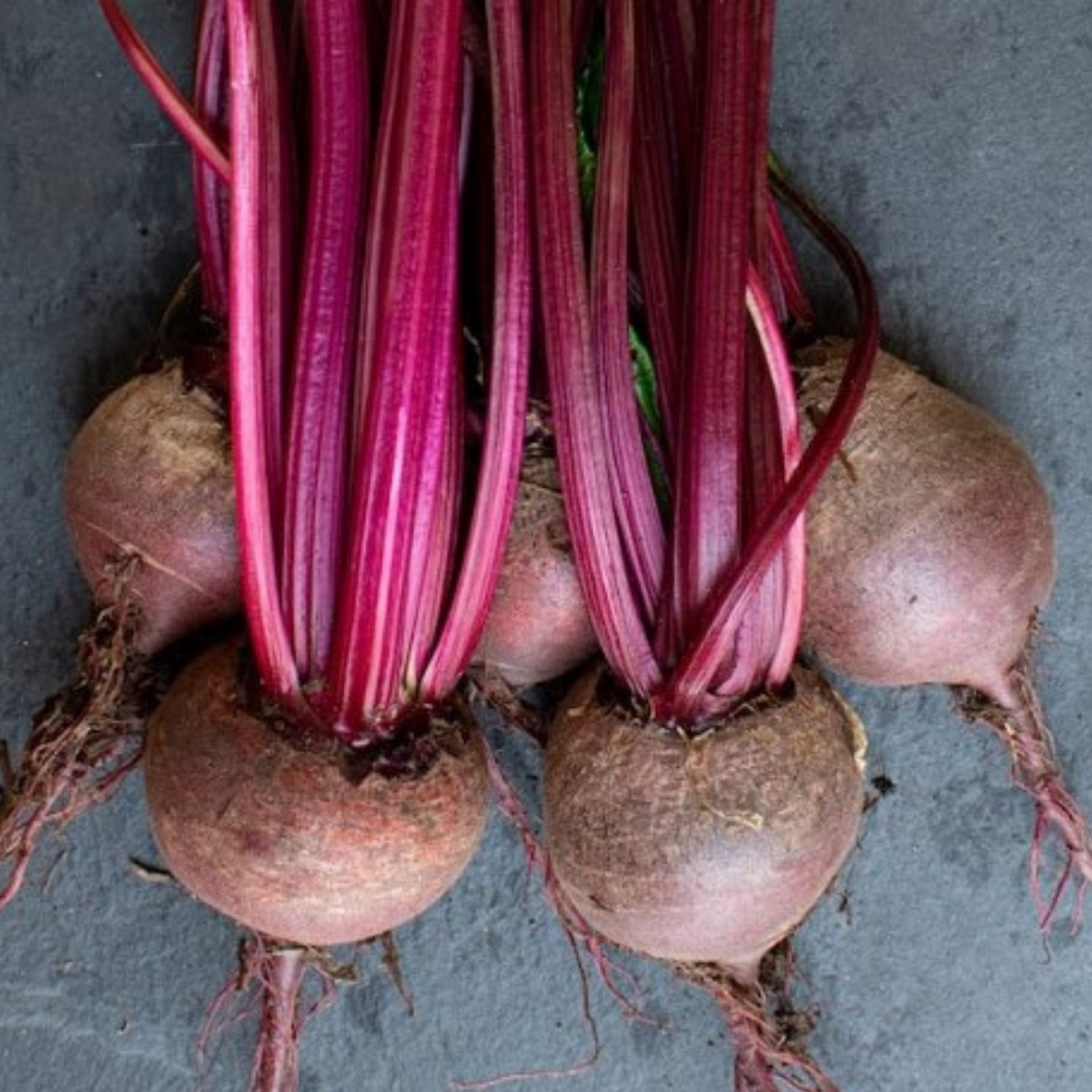 Beetroot Detroit 2 Crimson Globe 200 Seeds