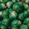 Brussels Sprout Evesham Special 450 Seeds