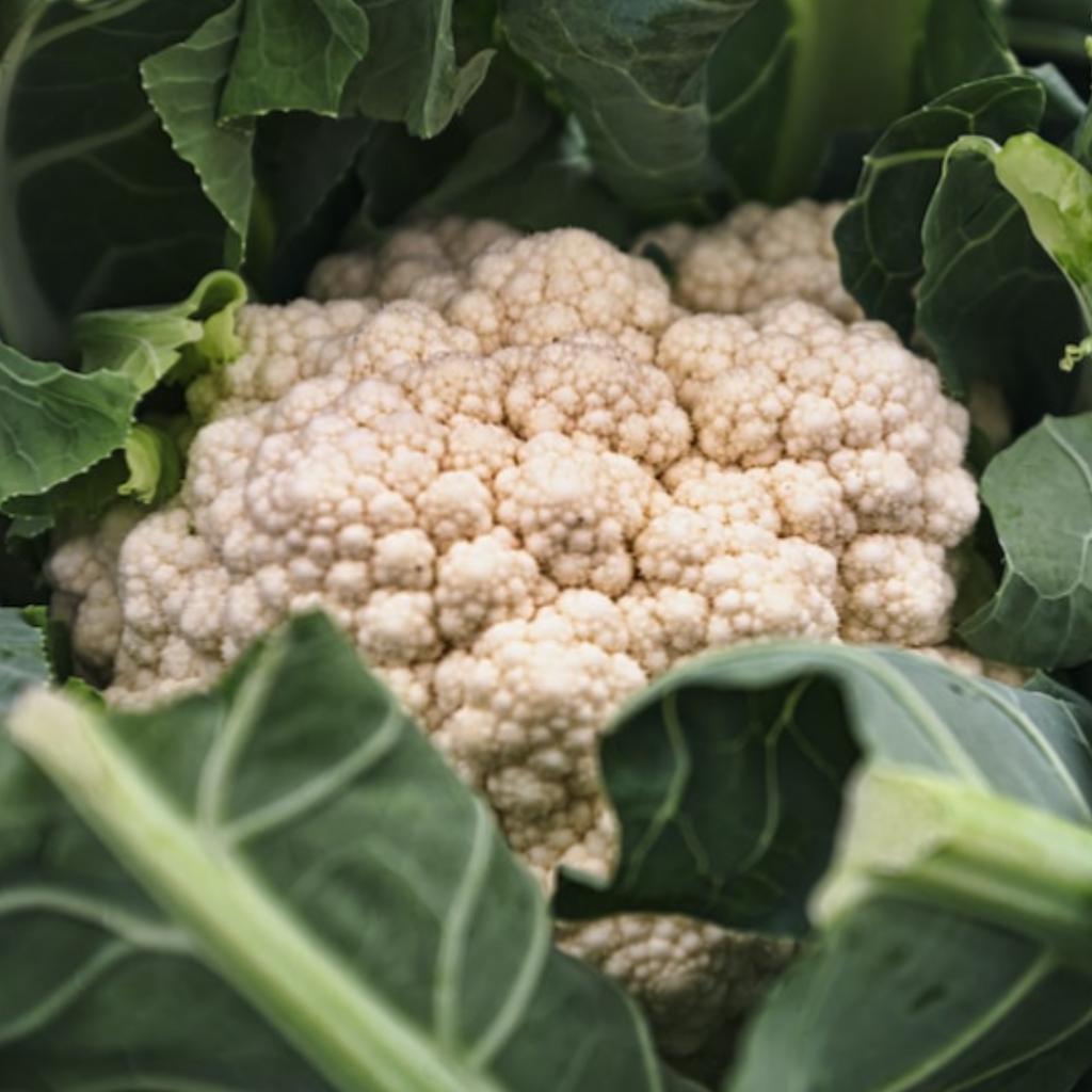 Cauliflower All Year Round 300 Seeds