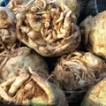 Celeriac Giant Prague 500 Seeds