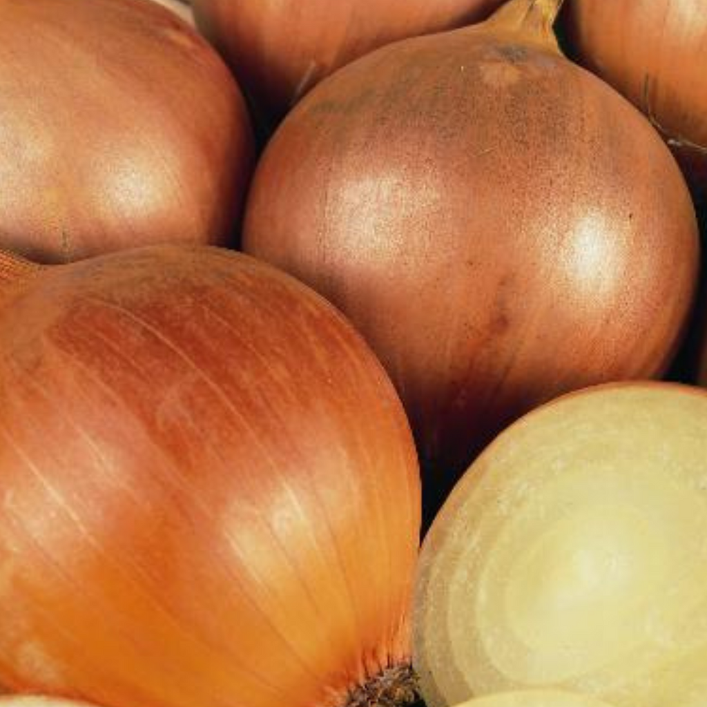 Onion Armstrong F1 140 Seeds
