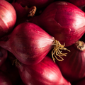 Onion Seeds Red Brunswick 200 Fresh Vegetable Seeds