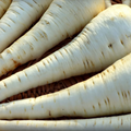 Parsnip Tender and True 400 Seeds