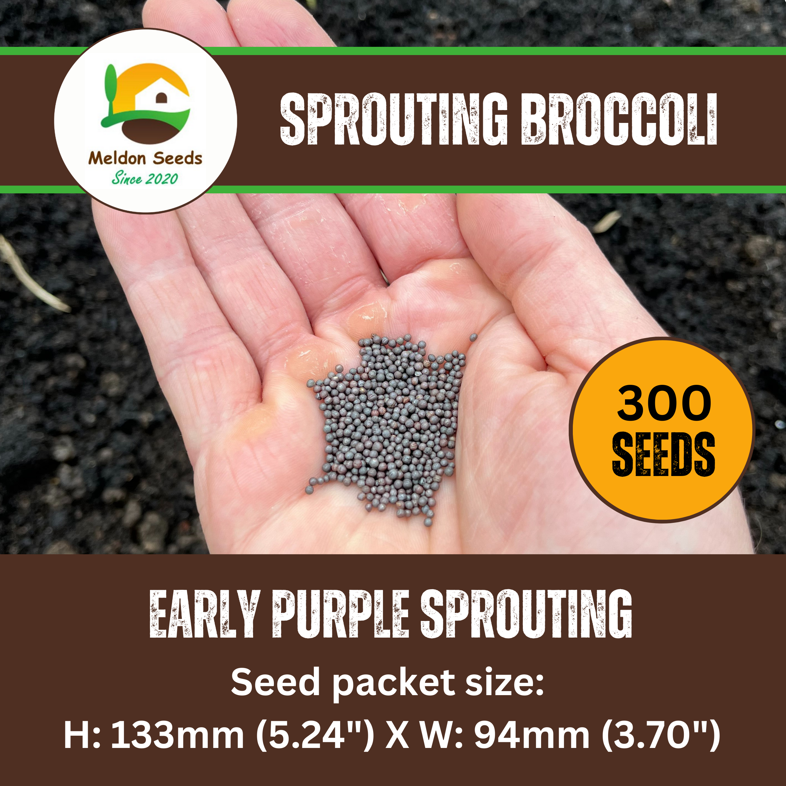 Broccoli Seeds Early Purple Sprouting 300 Fresh Seeds Winter Hardy Vegetable