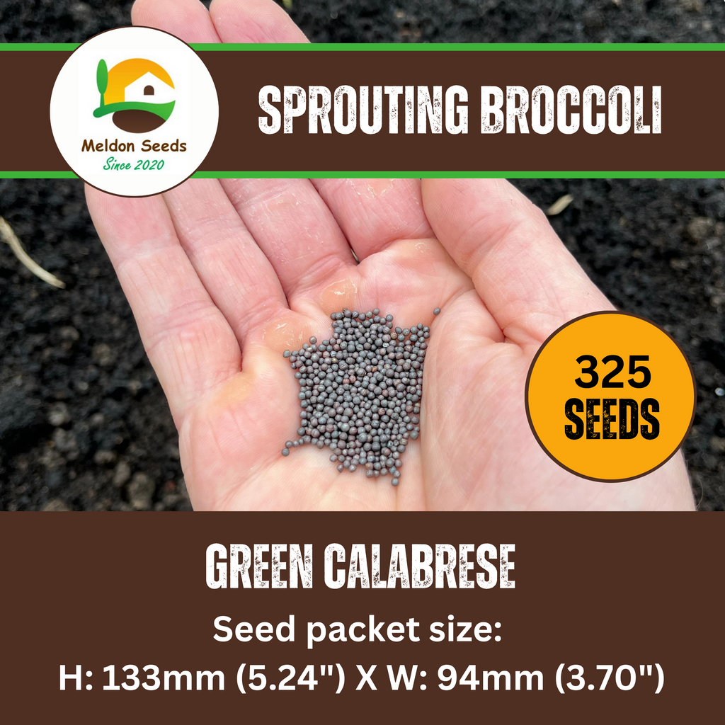Broccoli Green Sprouting 200 Seeds