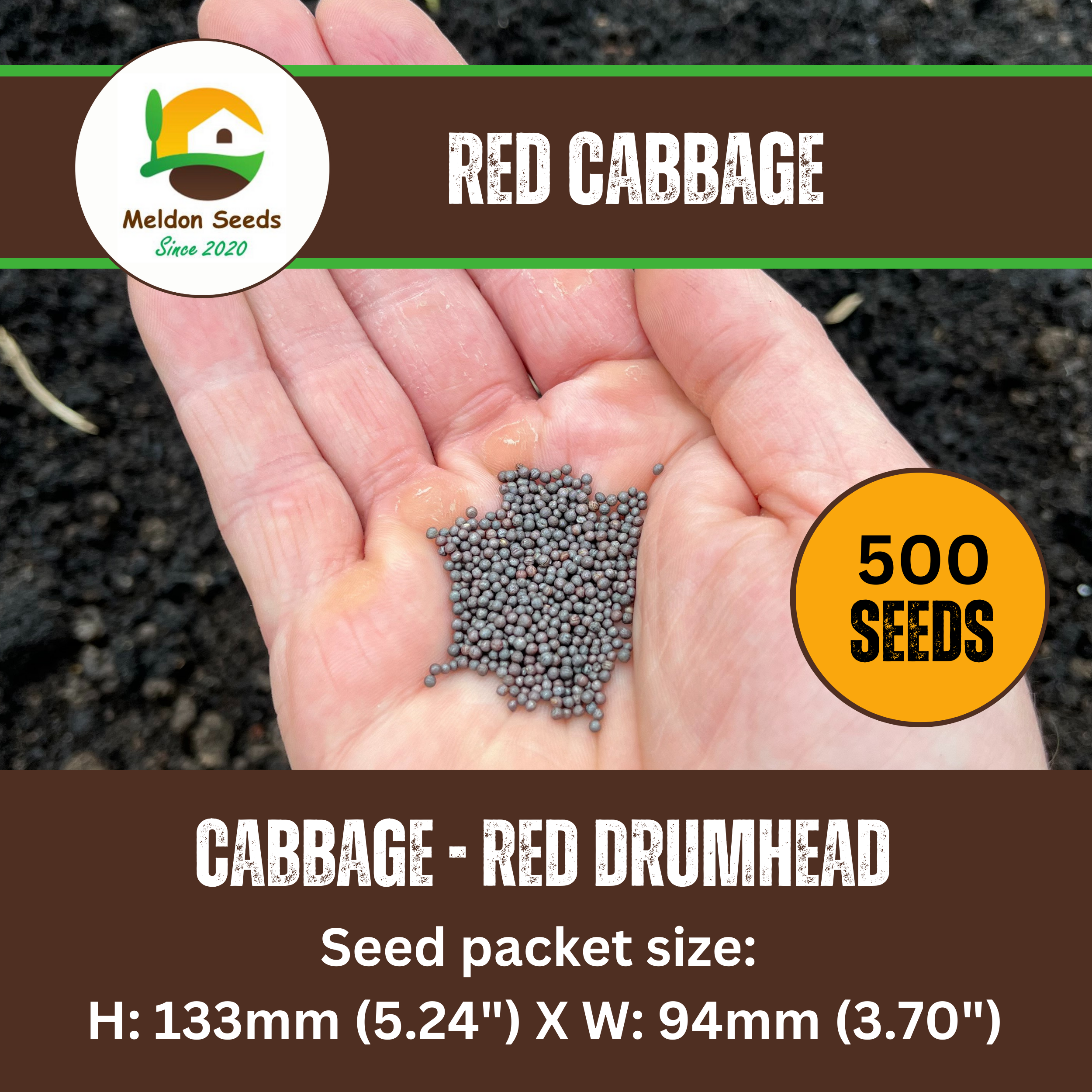 Cabbage Red Drumhead 500 Seeds