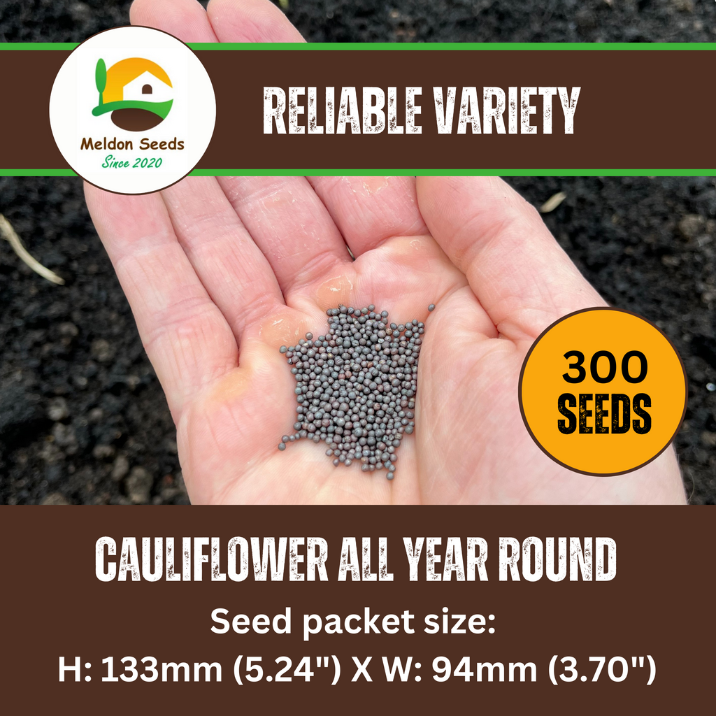 Cauliflower All Year Round 300 Seeds