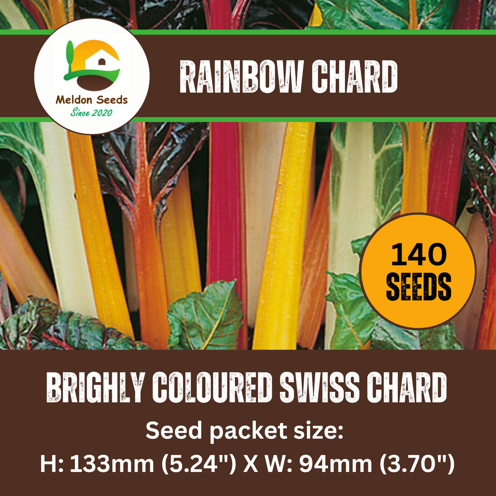 Beet Leaf Rainbow Chard Beet Leaf 140 Seeds