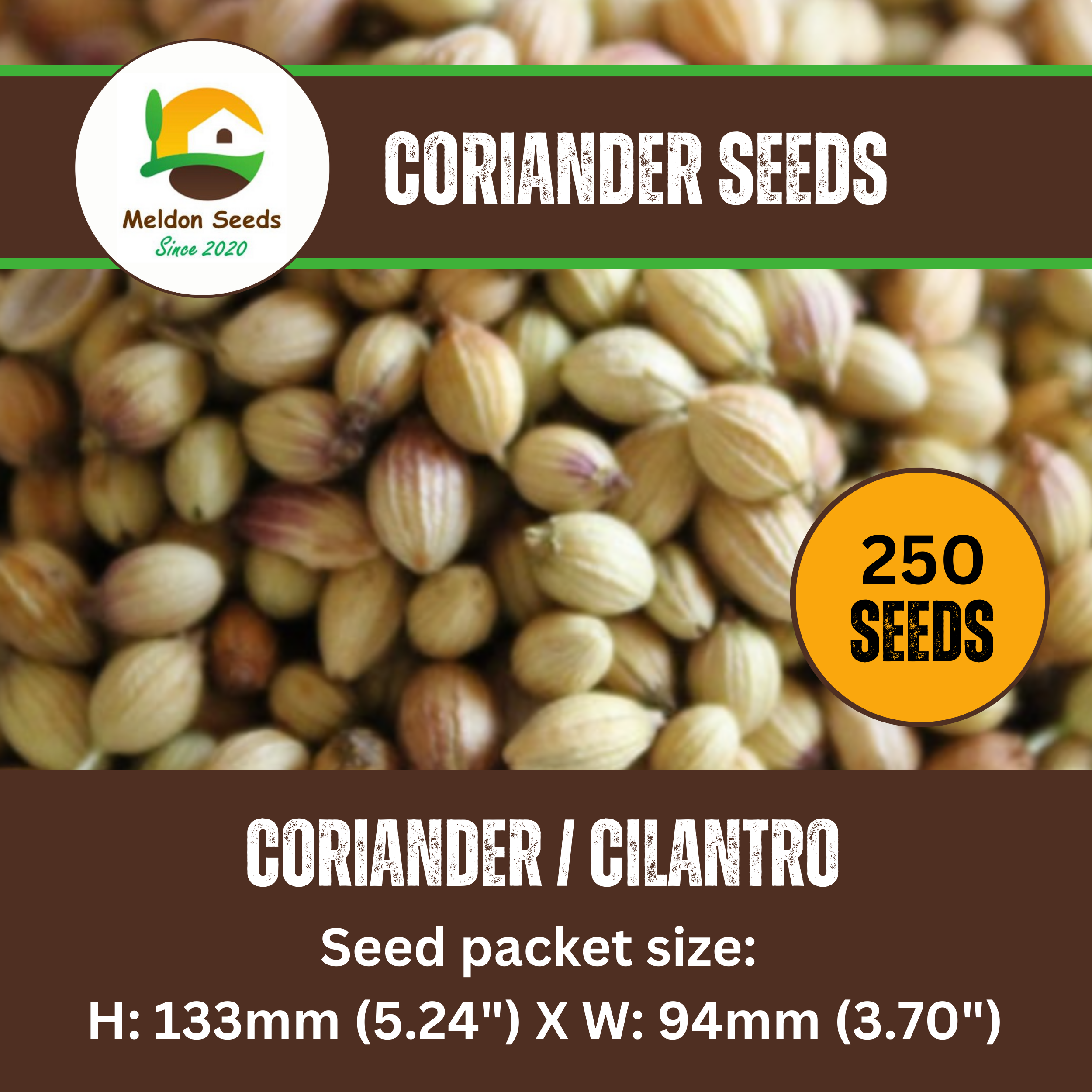 Coriander/Cilantro 250 Seeds