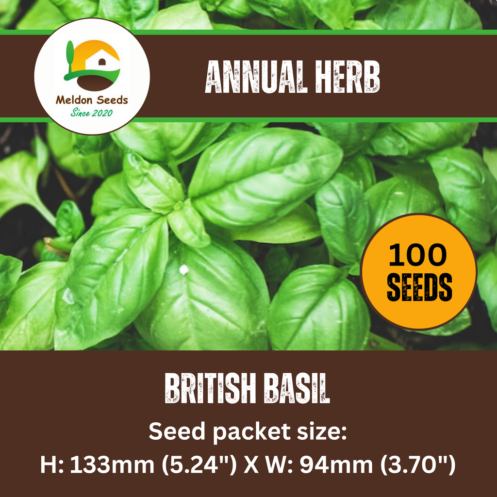 Basil British 100 Seeds