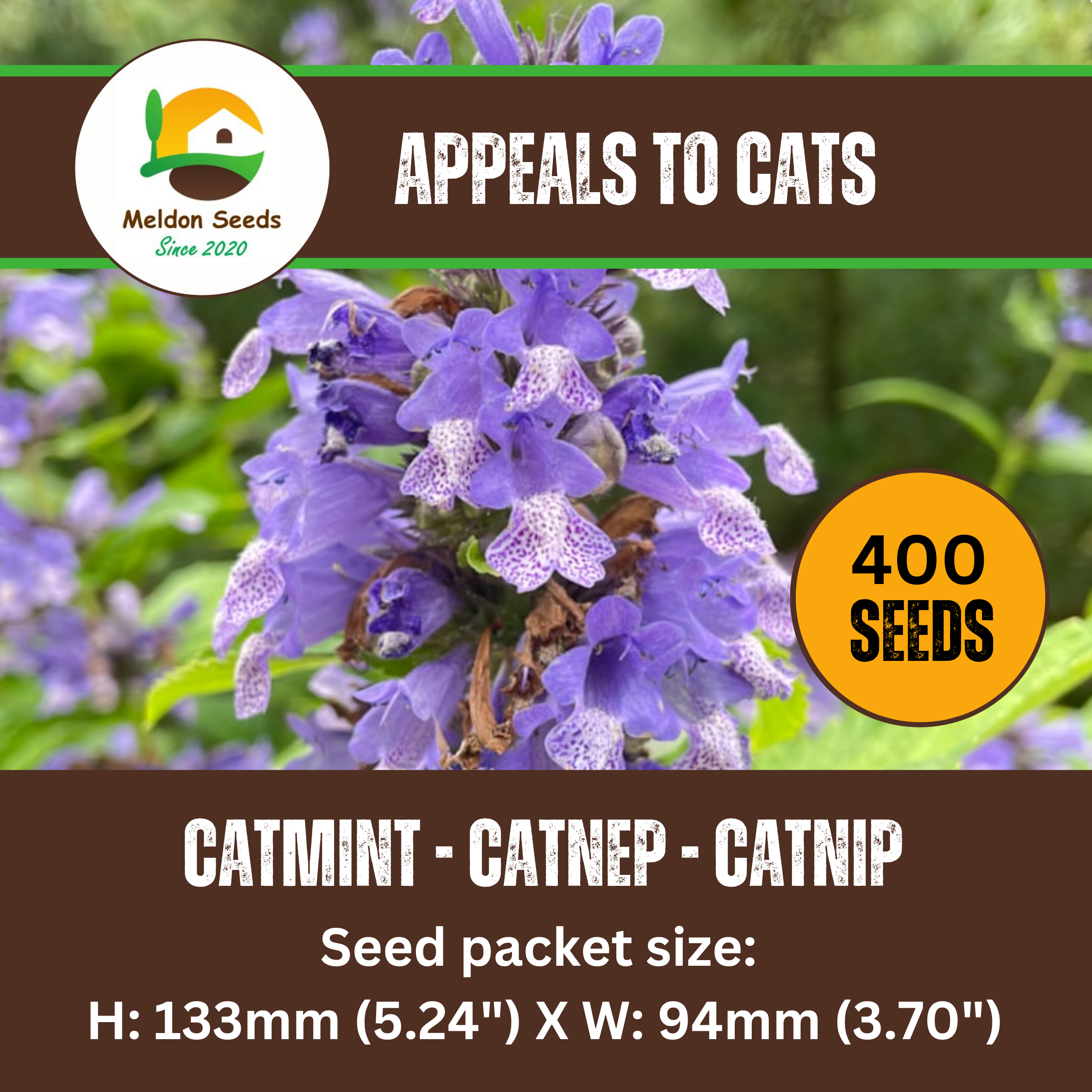 Catmint Catnep Seeds - 400 Seeds - True Catnip Nepeta Cataria Herb Cats Love It