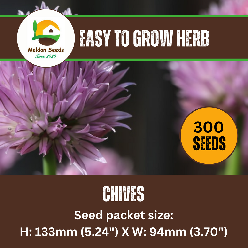Chives 300 Seeds