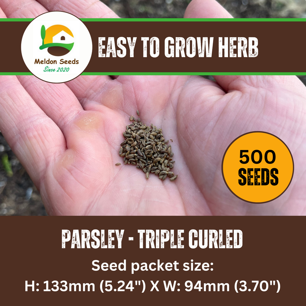 Parsley Triple Curled 500 Seeds