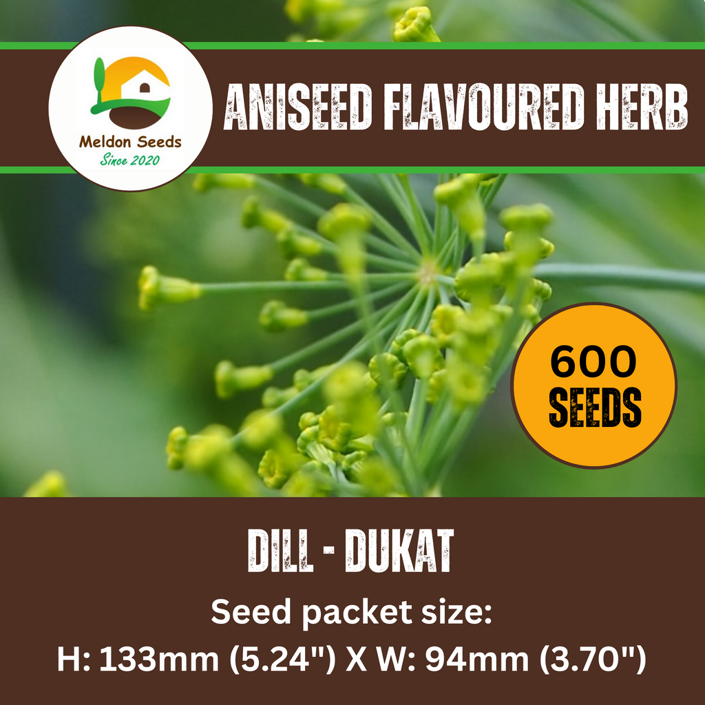 Dill Dukat 600 Seeds