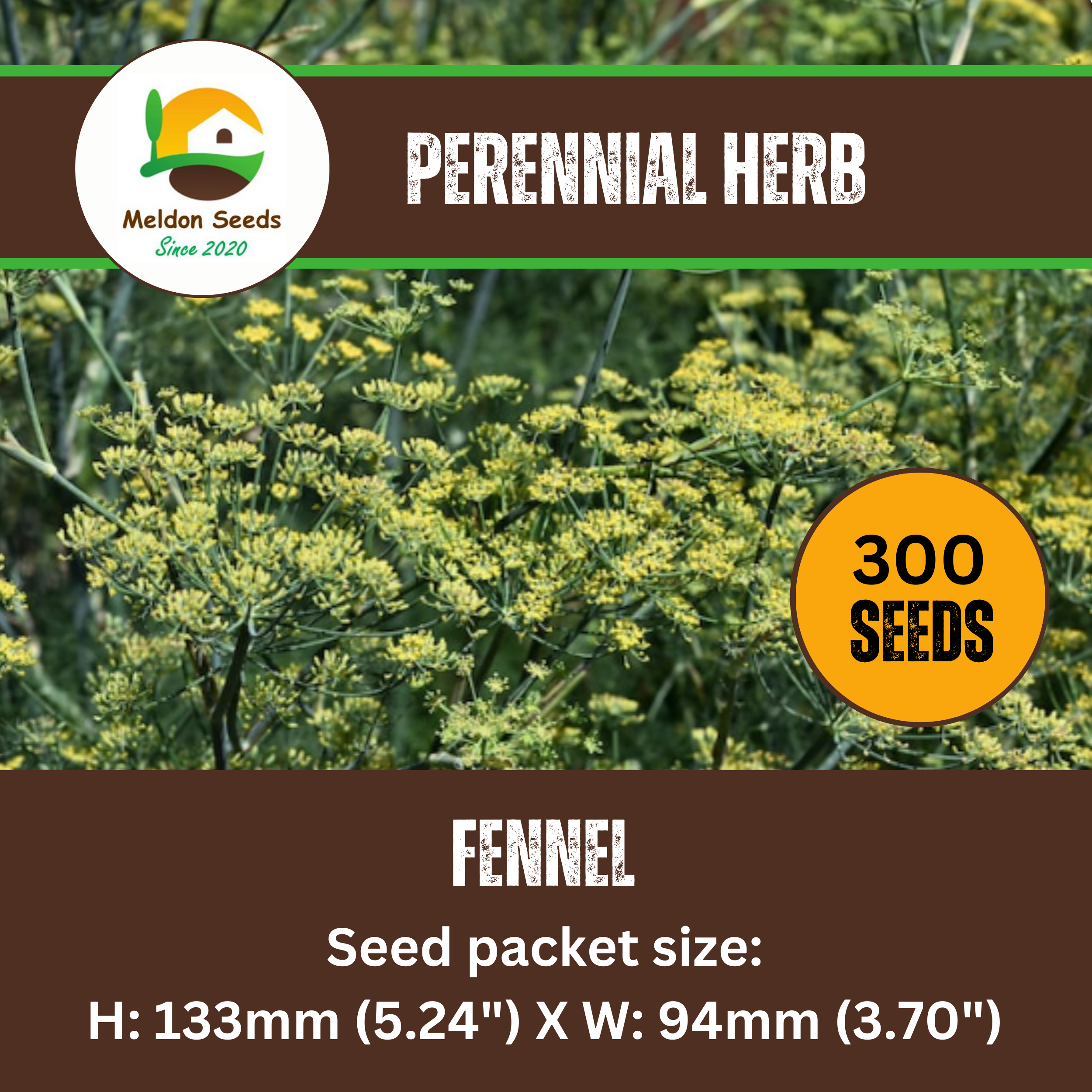 Fennel Herb 300 Seeds